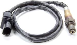 61+-aqcq5DL._AC_SL1000_