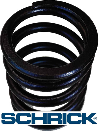 SCHRICK пружина клапанная