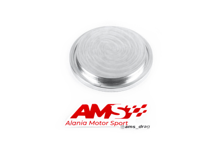 AMS заглушка вместо помпы C20XE, C20LET, X20XE